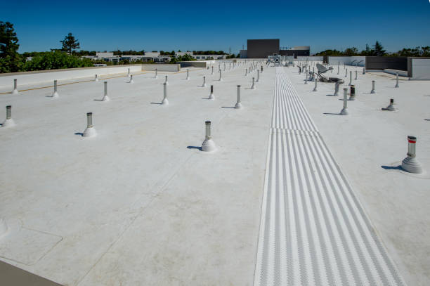 Best Roof Coating and Sealing  in Dellwood, MN